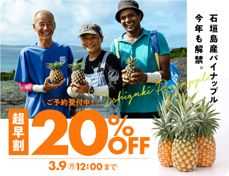 超早割パイン予約