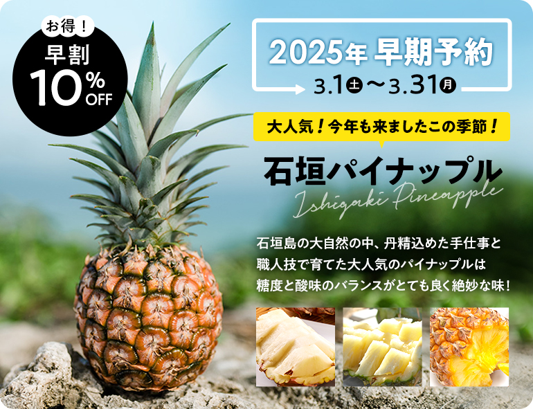 パイン超早割