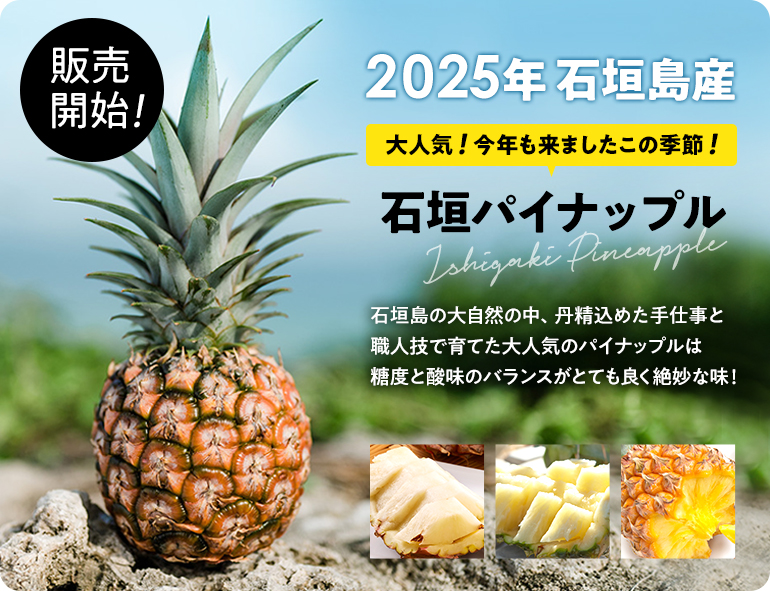 パイン販売