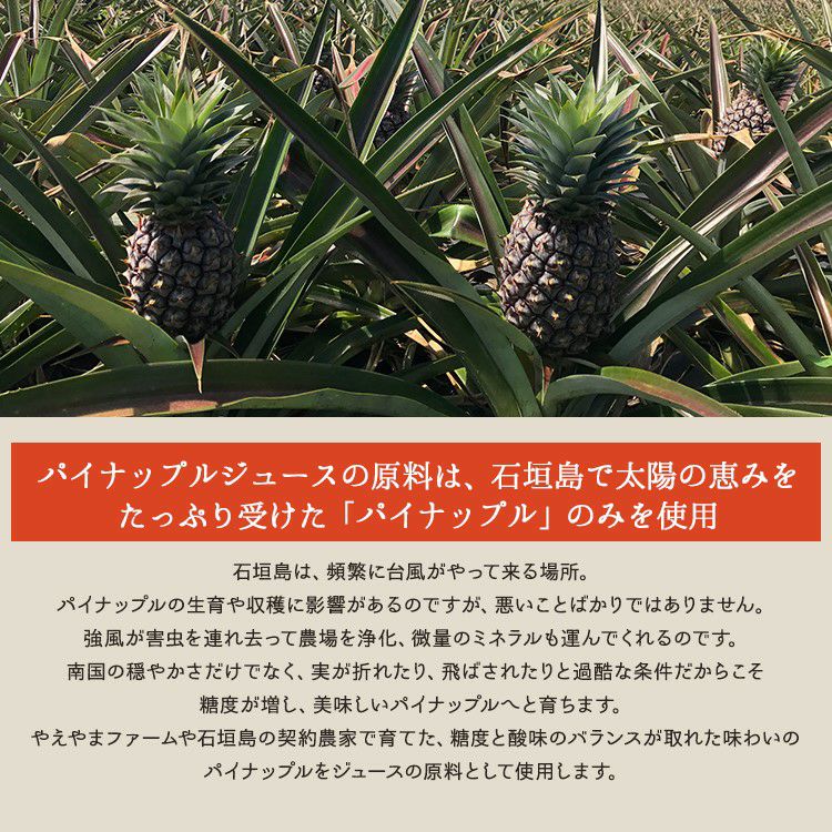 Amazon.co.jp: 父の日 ギフト 沖縄 石垣島産 パイナップル