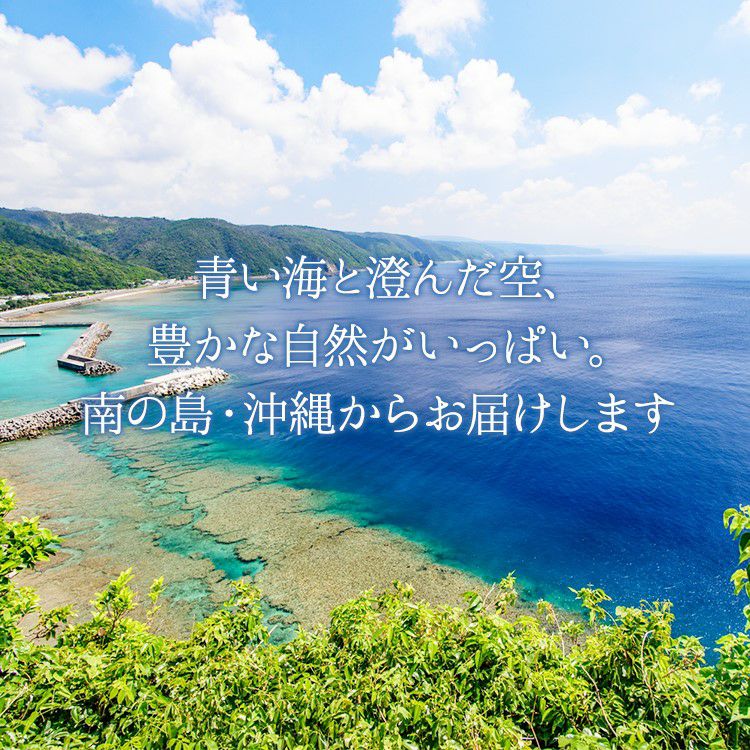 贅熟 沖縄県産マンゴー果汁飲料(50%) 〈常温〉 | 【公式】やえ