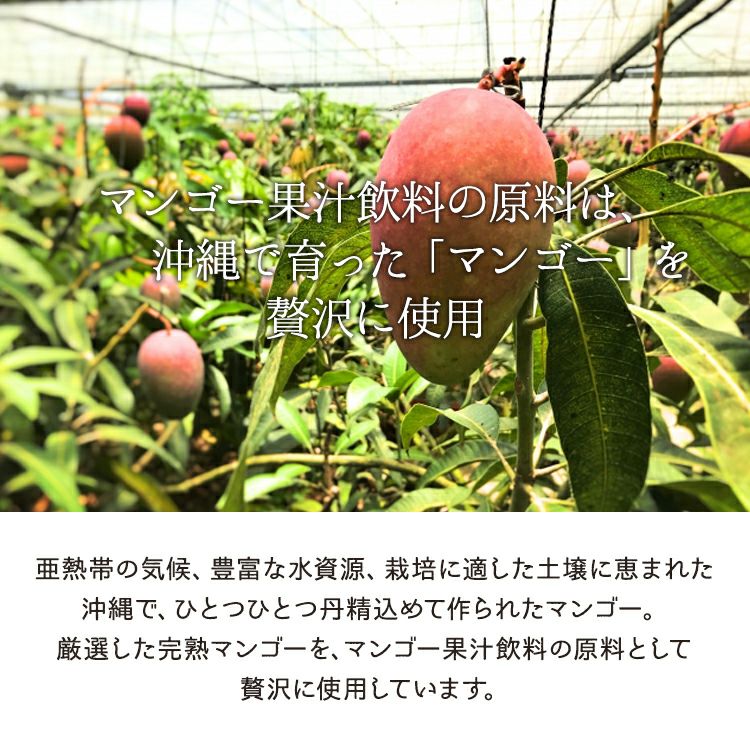 贅熟 石垣島産パインアップルジュース&贅熟 沖縄県産マンゴー果汁飲料