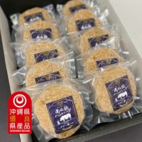 南ぬ豚 ハンバーグ　10個セット　 ☆冷凍☆