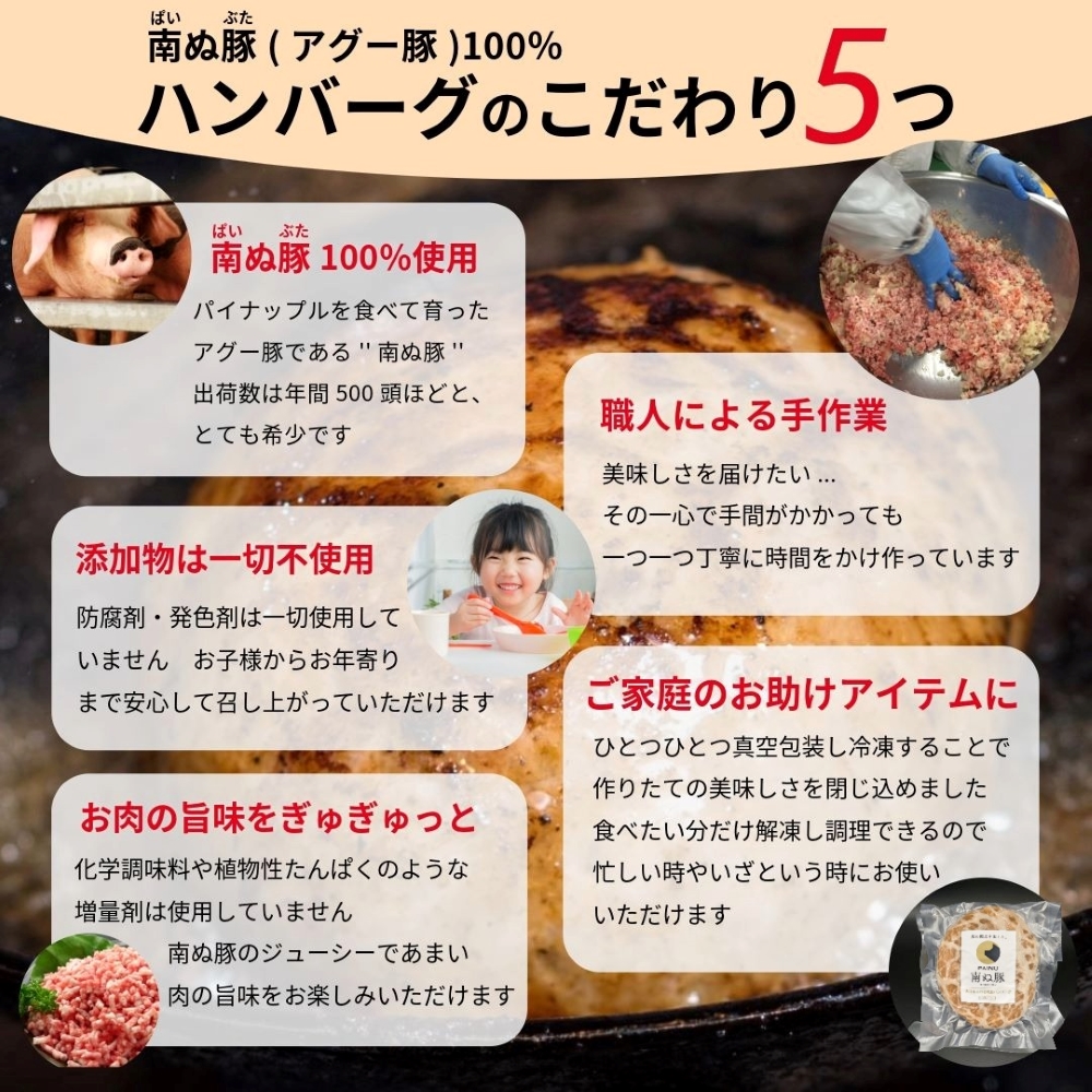南ぬ豚 ハンバーグ　10個セット　 ☆冷凍☆