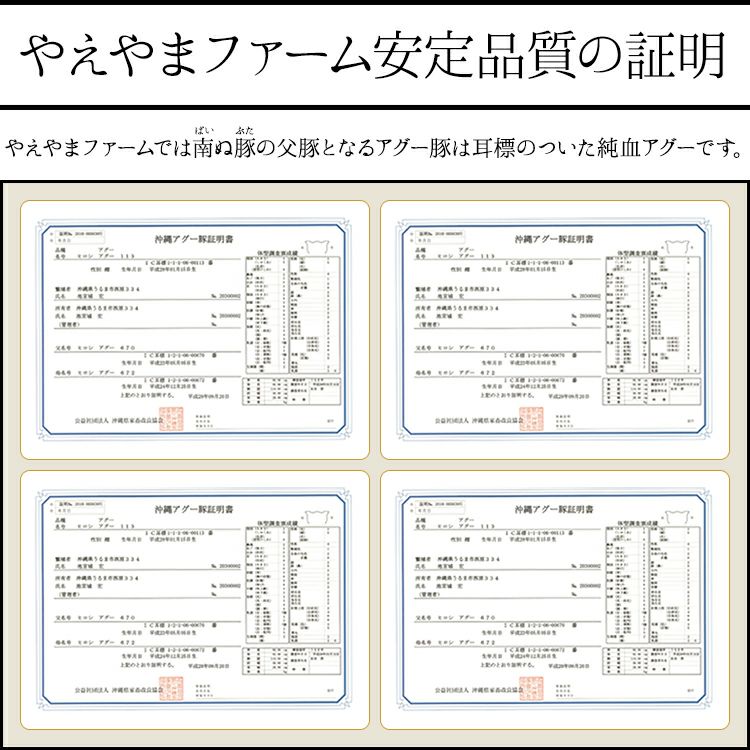 南ぬ豚 ハンバーグ　10個セット　 ☆冷凍☆