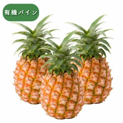 ピーチ種【有機】 | 【公式】やえやまファームオンラインショップ