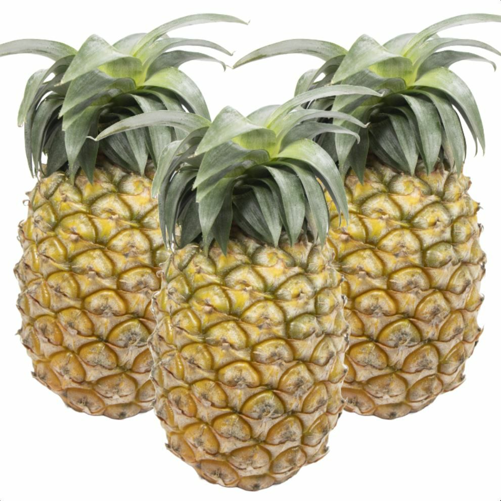 000000000240-01-m.jpg?t= 