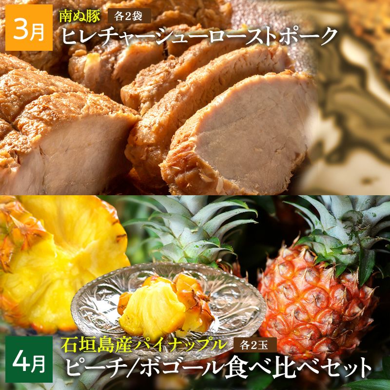 【送料込み】石垣島産パイナップル\u0026マンゴーセット