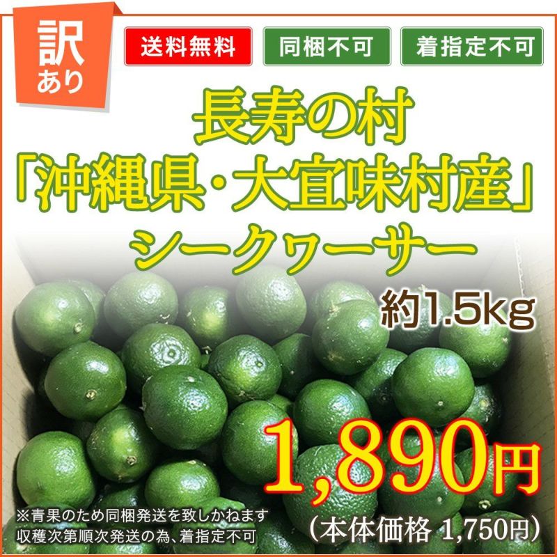 種なしシークワーサー 5キロ やんばる産 沖縄 やんばる産