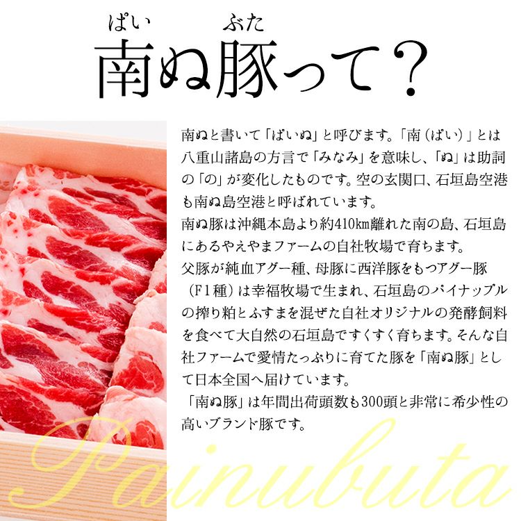 南ぬ豚 ハンバーグ　2個セット　お試し用・お２人でも ☆冷凍☆