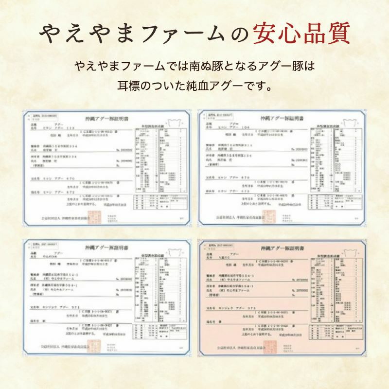 南ぬ豚 ハンバーグ　6個セット ☆冷凍☆