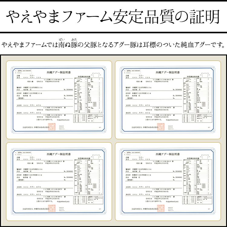 南ぬ豚 網脂ハンバーグ　10個セット  ☆冷凍☆