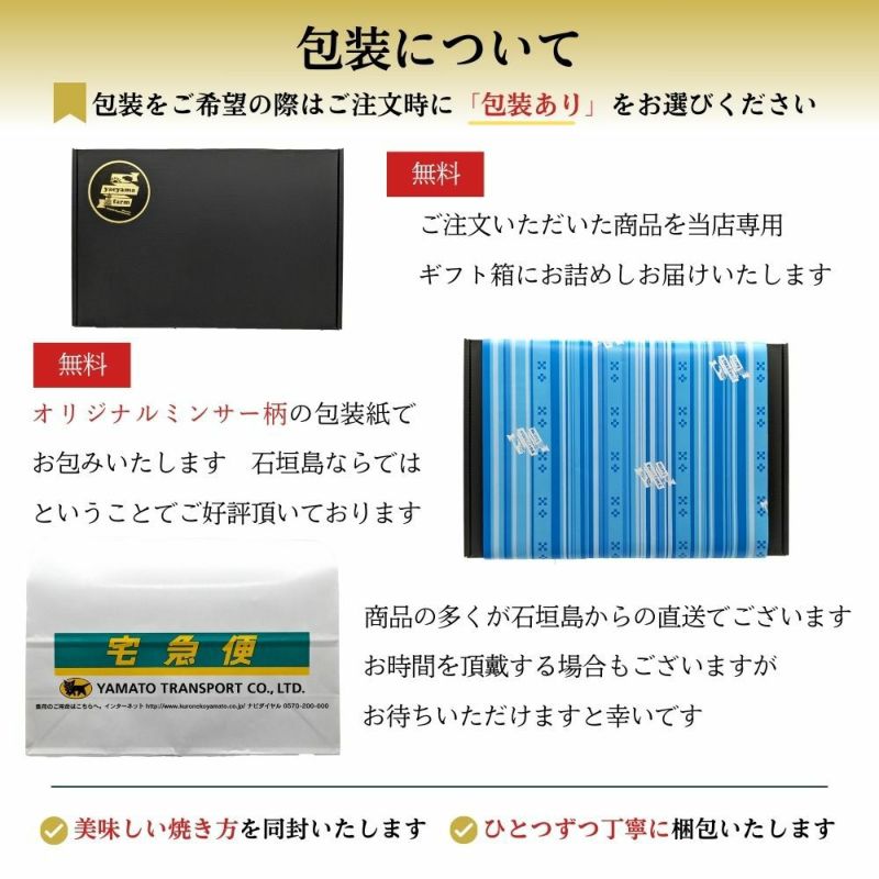 南ぬ豚 網脂ハンバーグ　10個セット  ☆冷凍☆