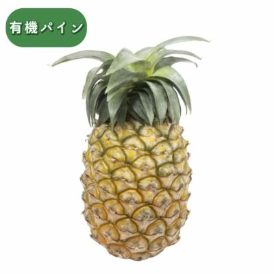 ハワイ種【有機】 | 【公式】やえやまファームオンラインショップ