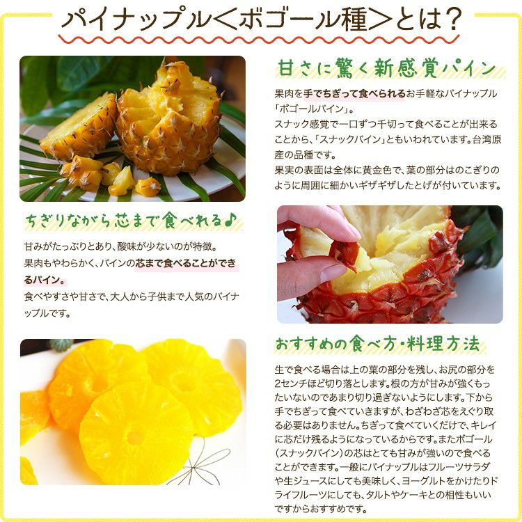 ◾︎無農薬ボゴールパイン 5kg ◾︎無農薬ボゴールパイン 5kg ボゴールパイン 5月上旬発送開始