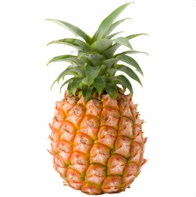 その他のくだもの | 【公式】やえやまファームオンラインショップ