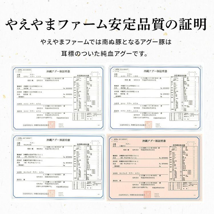 【母の日】【カーネーション付き】★『TBSの某番組』で紹介★南ぬ豚 網脂ハンバーグ　6個セット ☆冷凍☆