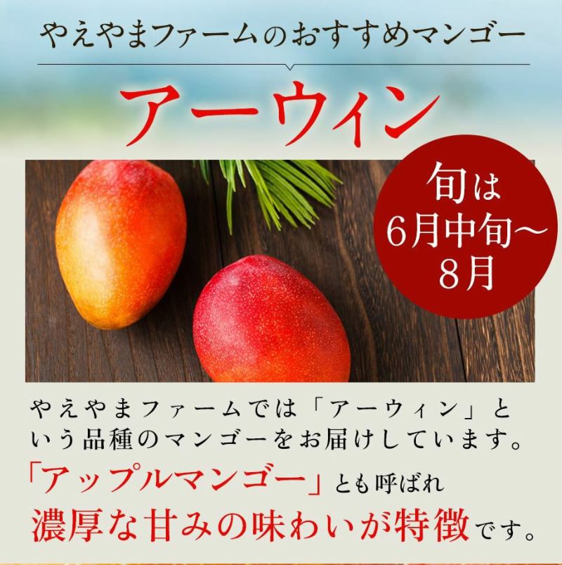 送料無料】石垣島産 マンゴー(アーウィン) 秀品 約1kg(2～3玉) 〈常温〉 | 【公式】やえやまファームオンラインショップ