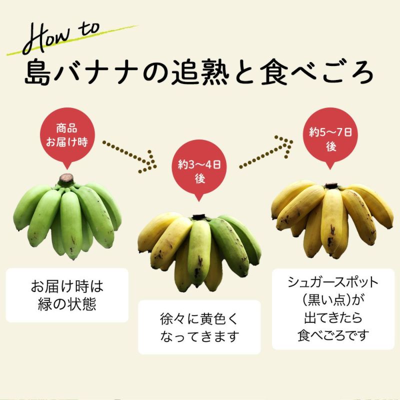 送料込み→1房です石垣島産バナナ専用問い合わせページ