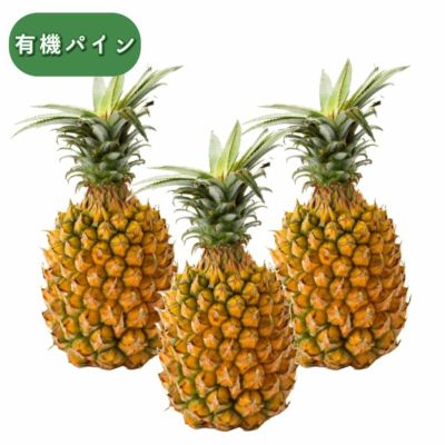 ボゴール種(スナックパイン)【有機】 | 【公式】やえやまファーム