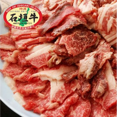 訳あり！石垣島産 赤グアバ 5kg imgrc0102085013.jpg