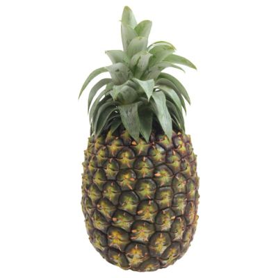 やまも　他の方の購入はご遠慮下さい パイナップルその他の品種 | 【公式】やえやまファームオンラインショップ