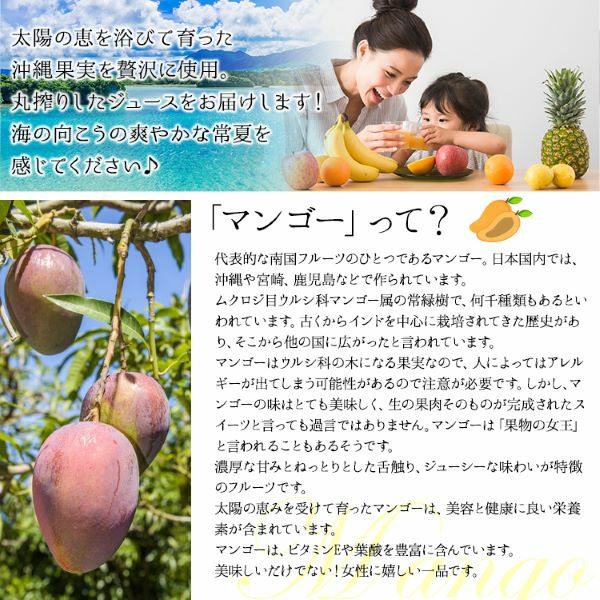 きなこ 様用20.ヤマシタマンゴー苗　耐寒性 Amazon.co.jp: マンゴーの苗木 品種:ナンドクマイ 6号硬質ポット