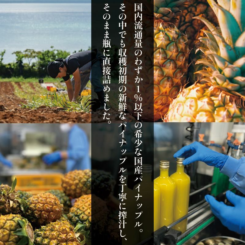 未開封! 沖縄限定　ソニーエンジェル　石垣島産パイナップル 1BOX 南国のソニーエンジェル!? ソニーエンジェルテラス限定商品 特別