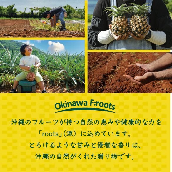 Okinawa F:roots】石垣島産 贅熟パイナップル 果汁100％ 200ml×10本