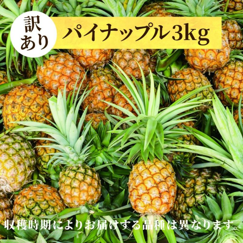 パイナップル | 【公式】やえやまファームオンラインショップ